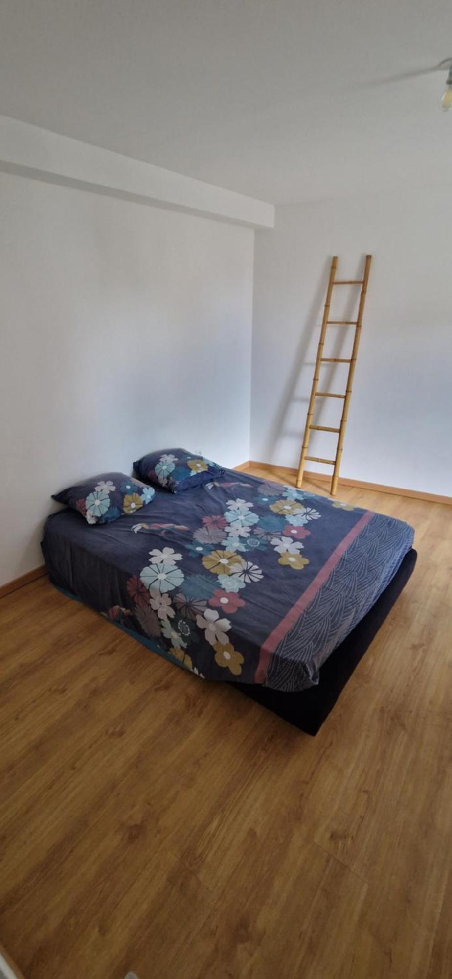 Appartement Cosy Et Confortable Brié-et-Angonnes Zewnętrze zdjęcie